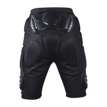 Pantalons protecteurs (PP-100)